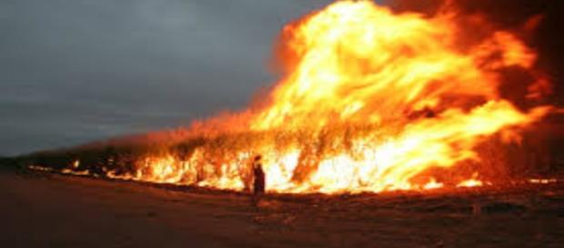 Immagine incendio boschivo in Australia. Immagine incendio boschivo in Australia.
