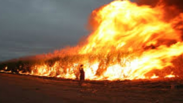 Immagine incendio boschivo in Australia.