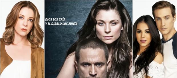 Ludwika Paleta voltará às novelas. Ludwika Paleta voltará às novelas.