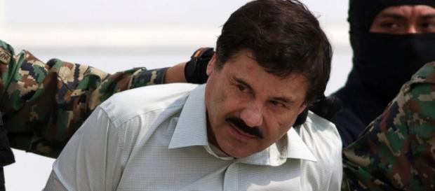 Traficante 'El Chapo' capturado Traficante 'El Chapo' capturado