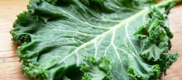 Apesar das carnes conterem mais proteínas, ainda sim os alimentos de origem vegetal também são ótimas fontes. Apesar das carnes conterem mais proteínas, ainda sim os alimentos de origem vegetal também são ótimas fontes.