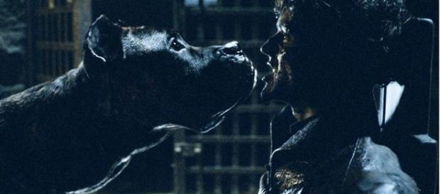 La fine di Ramsey Bolton ad opera dei suoi cani La fine di Ramsey Bolton ad opera dei suoi cani