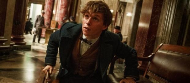 Newt Scamander será el protagonista de esta nueva historia Newt Scamander será el protagonista de esta nueva historia