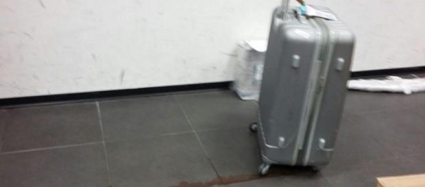Una valigia che perde liquido sanguinoso sbarcata alla Malpensa - Foto da Il Fatto Quotidiano Una valigia che perde liquido sanguinoso sbarcata alla Malpensa - Foto da Il Fatto Quotidiano