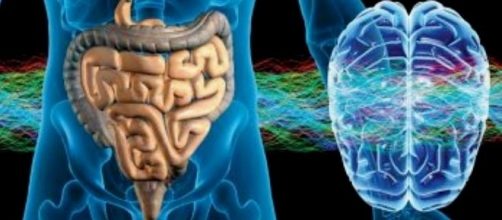 L'alimentazione influenza il microbiota intestinale ed il rischio del morbo di Alzheimer.