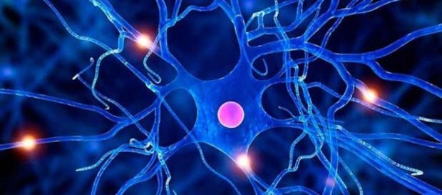 Indústrias farmacêuticas de olho nas células-tronco Indústrias farmacêuticas de olho nas células-tronco