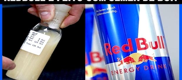 Redbull feito ou nao do sem do boi? Redbull feito ou nao do sem do boi?