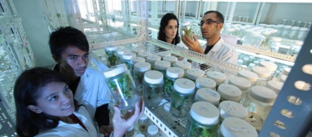 Cientistas fabricam produtos alimentícios em laboratório. Cientistas fabricam produtos alimentícios em laboratório.
