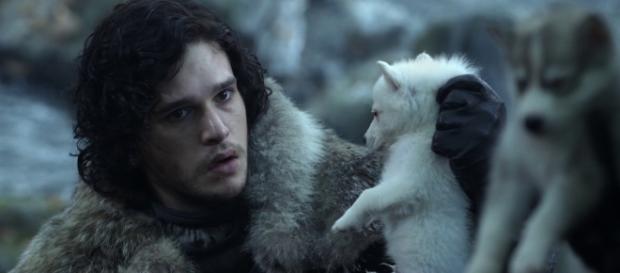 I metalupi del Trono di Spade, i metalupi degli Stark, i metalupi sono vivi? I metalupi del Trono di Spade, i metalupi degli Stark, i metalupi sono vivi?