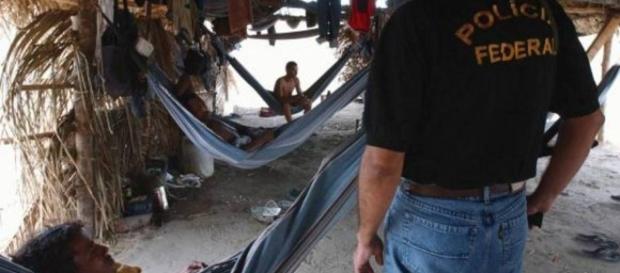 Policiais federais em ação contra o trabalho escravo Policiais federais em ação contra o trabalho escravo