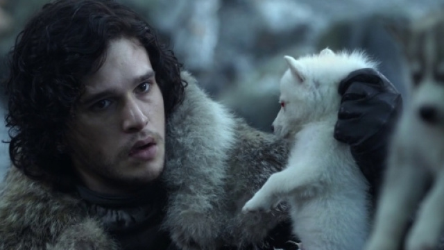 I metalupi del Trono di Spade, i metalupi degli Stark, i metalupi sono vivi?