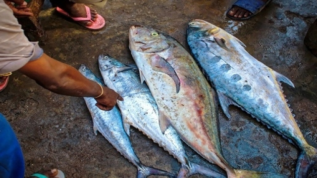 Cibi pericolosi: Coldiretti pubblica la black list