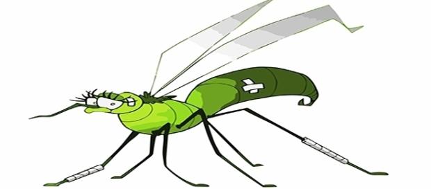 A estas "mosquitas" no nos las vamos a quitar de encima tan fácilmente, a menos que cambiemos de táctica... A estas "mosquitas" no nos las vamos a quitar de encima tan fácilmente, a menos que cambiemos de táctica...