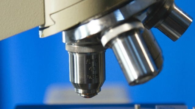 Scoperta una nuova classe di cellule staminali contro traumi gravi - biostaminalia.com