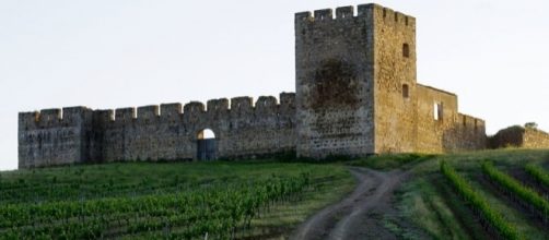 Alentejo: wine, history and a great tourist experience. Picture by Ken & Nyetta, Creative Commons.
