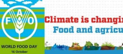 #WorldFoodDay: ''Il clima sta cambiando; il cibo anche.'' #BlastingNews