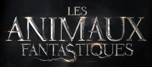 Les Animaux Fantastiques:cinq films pour la saga Les Animaux Fantastiques:cinq films pour la saga