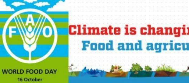 #WorldFoodDay: ''Il clima sta cambiando; il cibo anche.'' #BlastingNews #WorldFoodDay: ''Il clima sta cambiando; il cibo anche.'' #BlastingNews