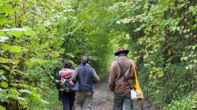 bloggers e instagramers in tour per fari ripartire l'economia dopo il terremoto