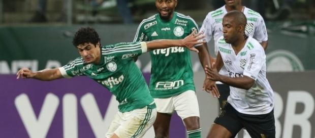 Figueirense x Palmeiras: assista ao jogo ao vivo na TV Figueirense x Palmeiras: assista ao jogo ao vivo na TV