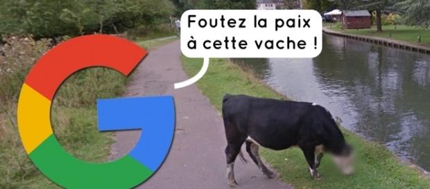 Street View respecte la vie privée de tout le monde, y compris des vaches Street View respecte la vie privée de tout le monde, y compris des vaches
