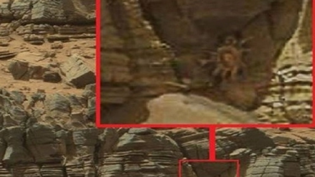 Pareidolia. In questa foto di Marte, diffusa dalla Nasa nel 2015, molti avrebbero individuato un granchio alieno