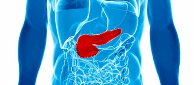 Hormônio vital para controlar diabetes será produzido no Brasil Hormônio vital para controlar diabetes será produzido no Brasil