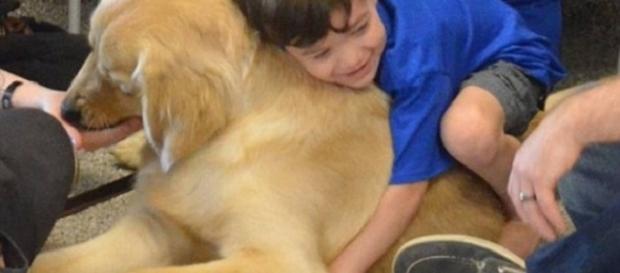 Kainoa Niehaus, pequeno autista de cinco anos, abraça seu novo amigo. Kainoa Niehaus, pequeno autista de cinco anos, abraça seu novo amigo.