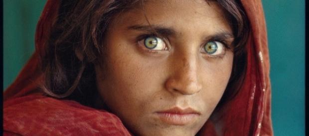 La Ragazza afgana di Steve McCurry La Ragazza afgana di Steve McCurry