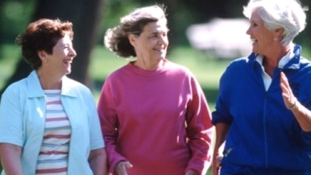 L'esercizio di resistenza e la dieta ipocalorica riducono il colesterolo.