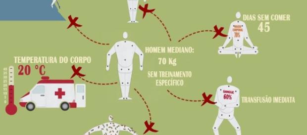 O corpo humano e os seus limites O corpo humano e os seus limites