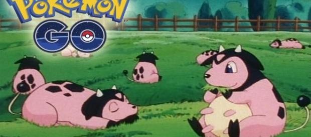 Algunas especies en el mundo pokémon benefician a los humanos y al planeta tierra. Algunas especies en el mundo pokémon benefician a los humanos y al planeta tierra.