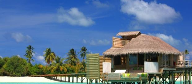 Laamu, en Maldivas, es donde están ahora los recién casados. Laamu, en Maldivas, es donde están ahora los recién casados.