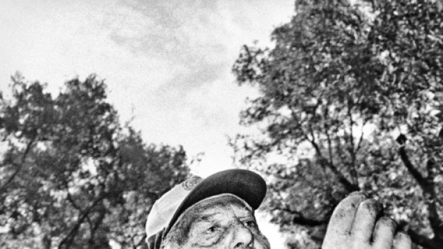 Allarme per i coltivatori, rischio diffusione di un batterio.