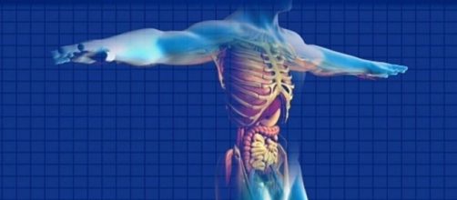 Morbo di Crohn: sintomi, diagnosi, alimentazione e cura | Tanta Salute - tantasalute.it
