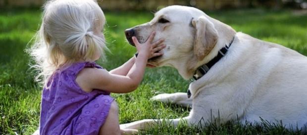 4 motivos para manter o papo em dia com seu cachorro 4 motivos para manter o papo em dia com seu cachorro