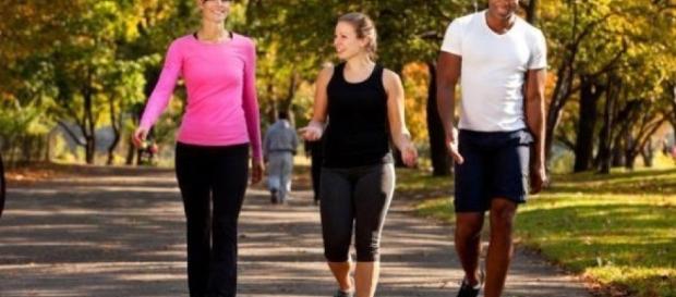 Os exercícios físicos podem ajudar a prevenir doenças como a depressão e até mesmo a ansiedade. Os exercícios físicos podem ajudar a prevenir doenças como a depressão e até mesmo a ansiedade.