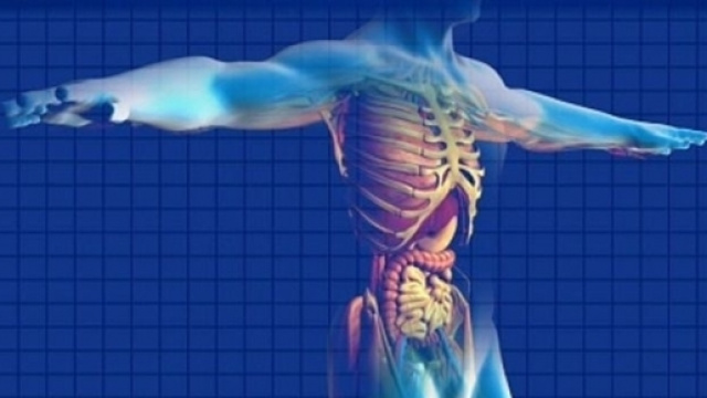 Morbo di Crohn: sintomi, diagnosi, alimentazione e cura | Tanta Salute - tantasalute.it