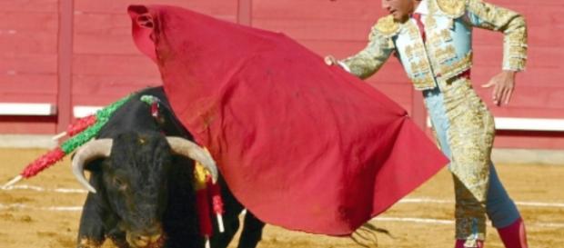 Corrida Spagna non verrà abolita Corrida Spagna non verrà abolita
