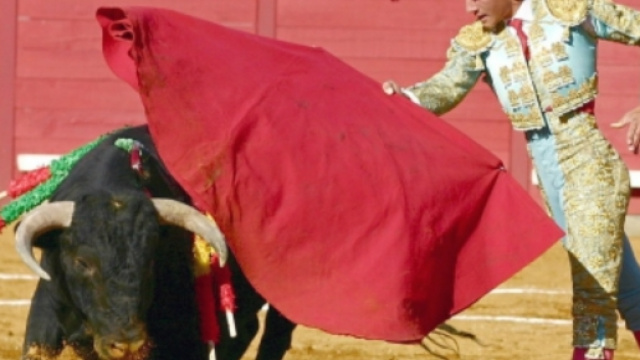 Corrida Spagna non verrà abolita