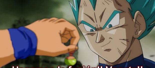 CREDITOS DE IMAGEN FUSION VEGETTO CREDITOS DE IMAGEN FUSION VEGETTO