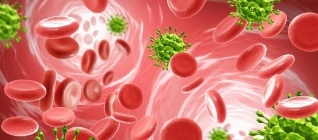 HIV-Heilung in Sicht - MÄNNER - m-maenner.de HIV-Heilung in Sicht - MÄNNER - m-maenner.de