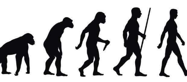 Esquema de la evolución humana Esquema de la evolución humana