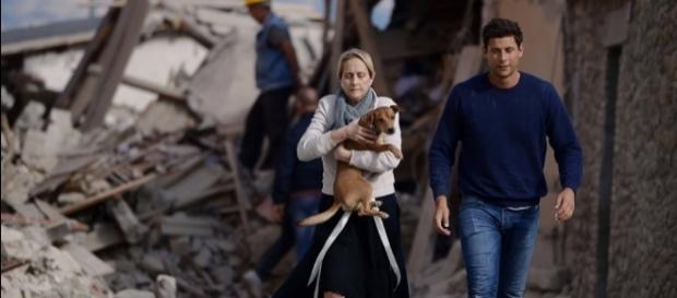 Il terremoto e gli altri animali / Intervista con Gianluca ... - restiamoanimali.it Il terremoto e gli altri animali / Intervista con Gianluca ... - restiamoanimali.it