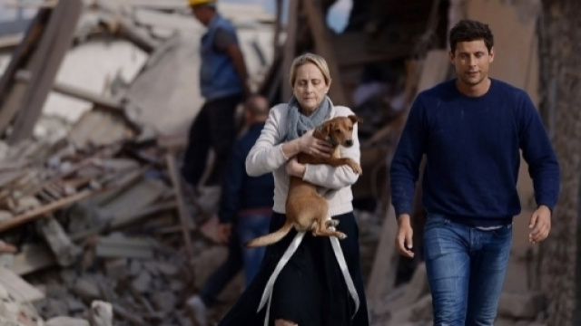 Il terremoto e gli altri animali / Intervista con Gianluca ... - restiamoanimali.it