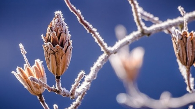 Previsioni del tempo per l&rsquo;inverno