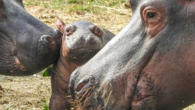 ReportGarda.com - News Lago di Garda e non solo... ReportGarda.com - reportgarda.com