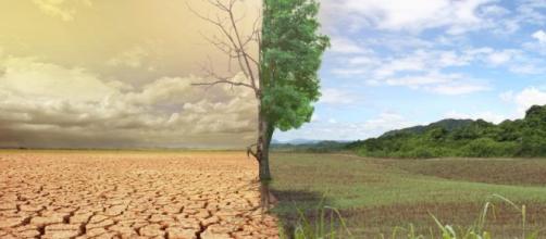 El cambio climático y El Niño causarán hambruna a 10 millones de personas en el mundo entero