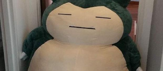 Uno dei 3 Snorlax regalati dall'uomo a sua moglie. Uno dei 3 Snorlax regalati dall'uomo a sua moglie.