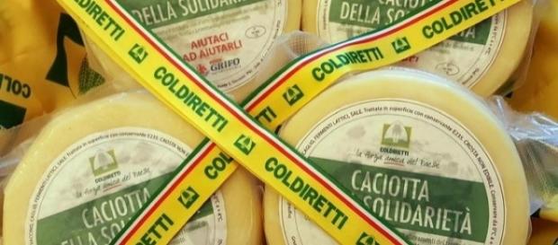 La caciotta solidale per ricostruire le stalle La caciotta solidale per ricostruire le stalle